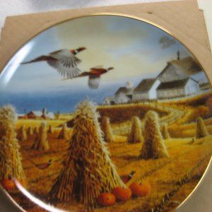 CHANGING SEASONS II PLATE # 2047  BY JERRY RAEDEKE